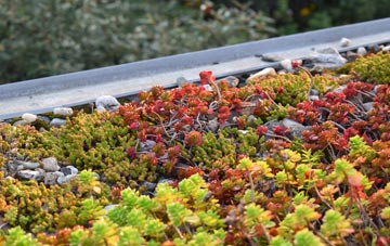 the cost of Cropthorne green roof installation